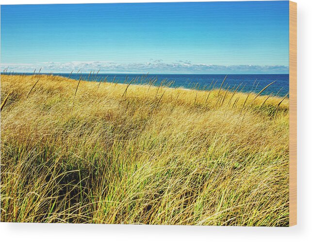 Cape Cod Wood Print featuring the photograph Paradise by Greg Fortier
