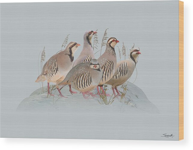 Birds Wood Print featuring the digital art Partidge Covey by M Spadecaller