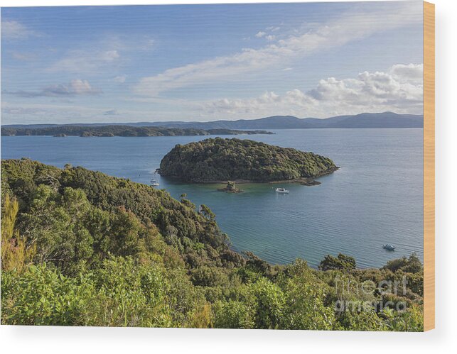 Paterson Inlet Wood Print featuring the photograph Paterson Inlet by Eva Lechner