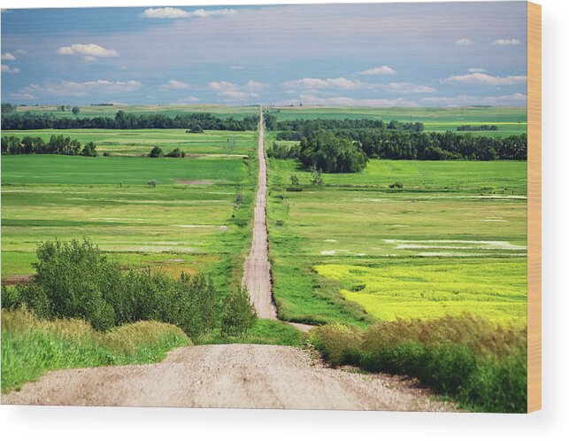 Infinity Wood Print featuring the photograph Path to Infinity - gravel road in North Dakota vanishes into the distance by Peter Herman