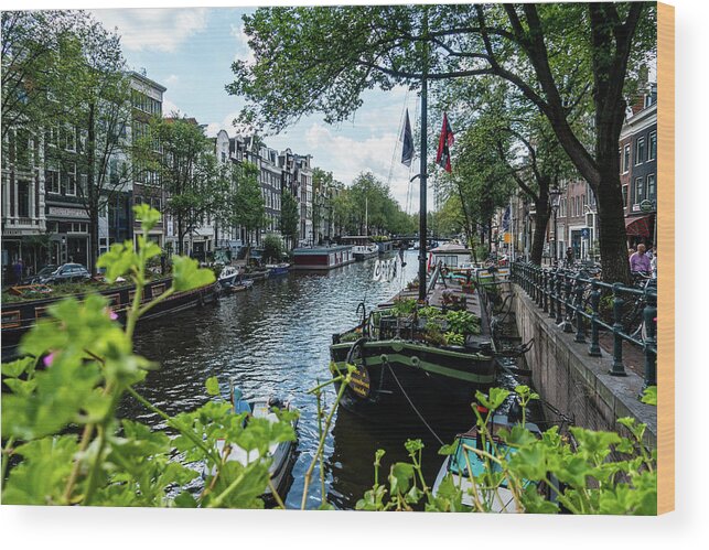 Amsterdam Canal Wood Print featuring the photograph Peaceful Canal by Marian Tagliarino