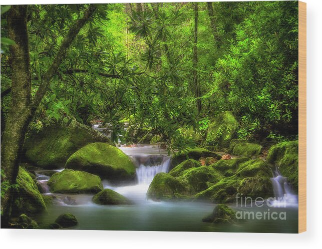 Waterfall Wood Print featuring the photograph Peaceful Cascades in the Forest by Shelia Hunt