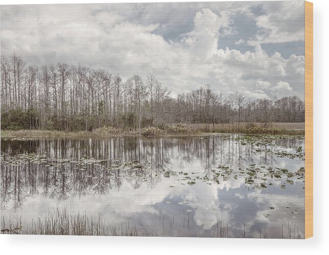 Clouds Wood Print featuring the photograph Peaceful Soft Reflections on the Everglades by Debra and Dave Vanderlaan