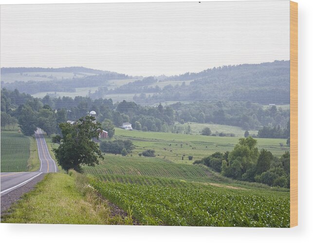 Scenics Wood Print featuring the photograph Peaceful Valley with Farm on Hazy Summer Evening by Genekrebs