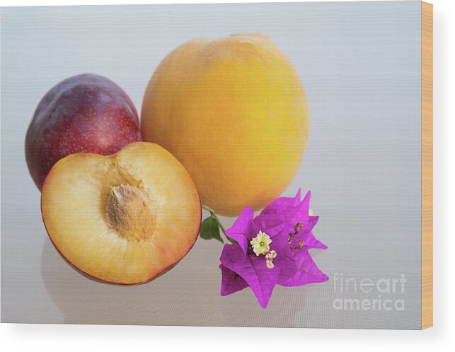 Peachy Wood Print featuring the photograph Peach and plum in the Mediterranean sunlight by Adriana Mueller