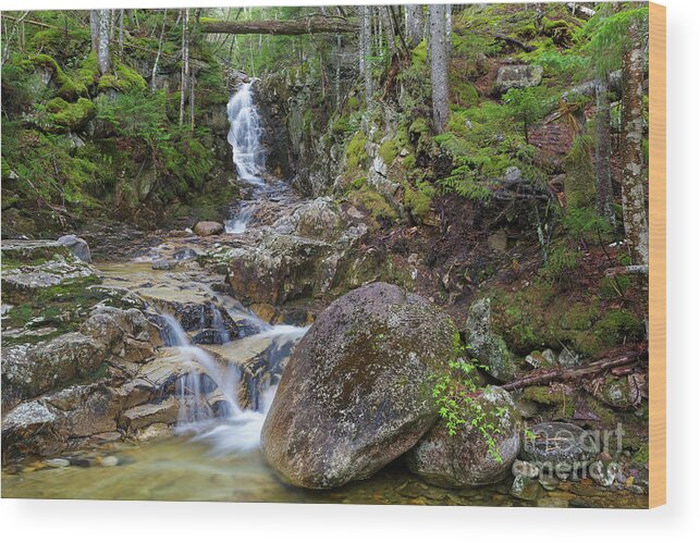 Avalon Path Wood Print featuring the photograph Pearl Cascade - White Mountains, New Hampshire by Erin Paul Donovan