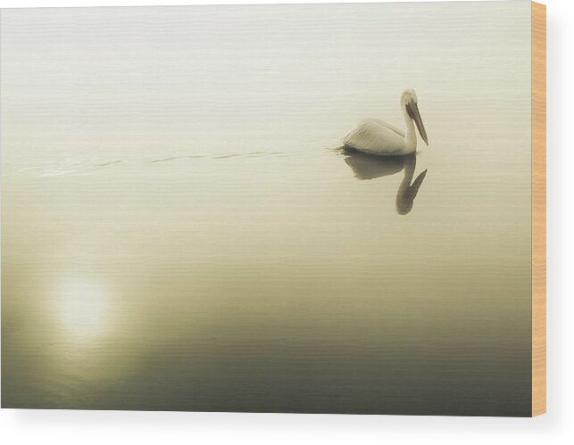 Lake Wood Print featuring the photograph Pelican at Lake Kerkini by Ioannis Konstas