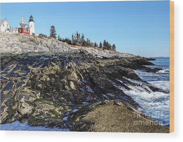 Pemaquid Point Light Wood Print featuring the photograph Pemaquid Point Light by George Kenhan