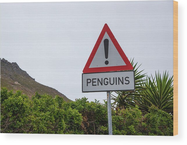 Sign Wood Print featuring the photograph Penguins Road Sign by Bill Cubitt