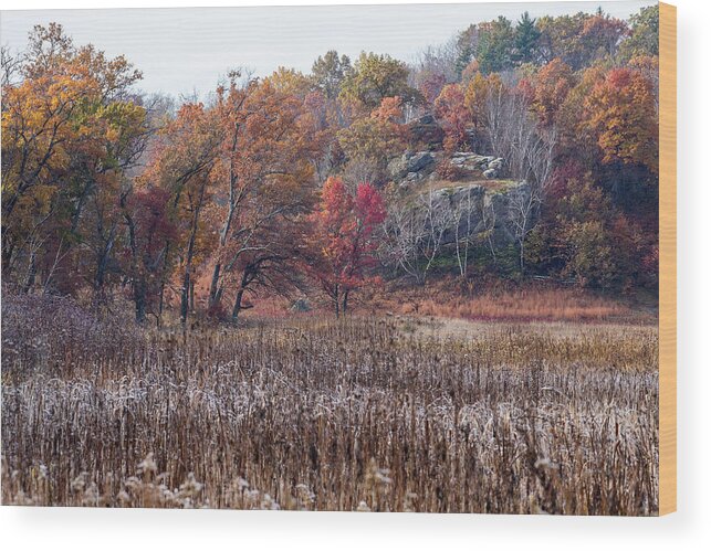 Peniel Wood Print featuring the photograph Peniel Rock in Autumn by Jan Day