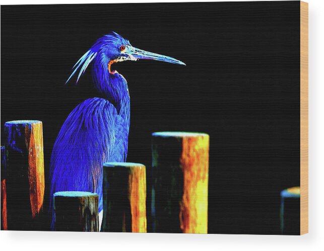 Wildlife Wood Print featuring the digital art Pensive Blue Heron by SnapHappy Photos