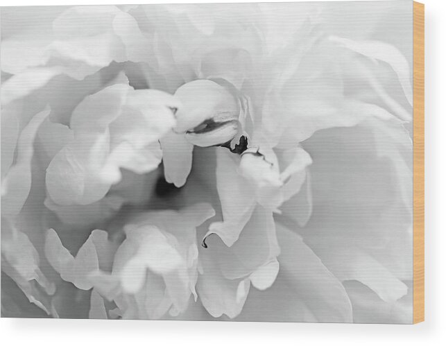 Peony Wood Print featuring the photograph Peony In Black And White by Debbie Oppermann