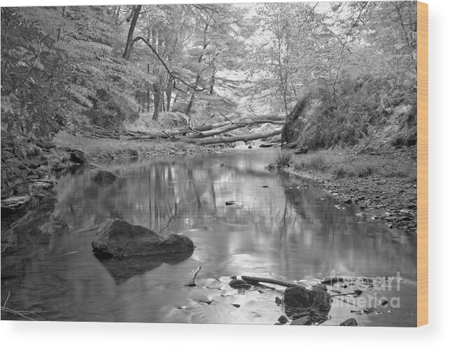 Toms Wood Print featuring the photograph Perfect Reflections In Toms Run Black And White by Adam Jewell