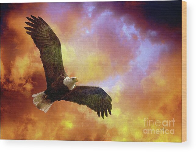 Eagle Wood Print featuring the photograph Perseverance by Lois Bryan