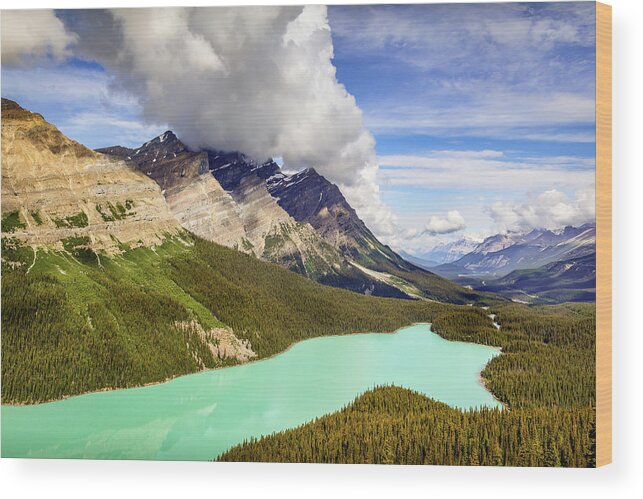 Banff Wood Print featuring the photograph Peyto Lake by Bradley Morris