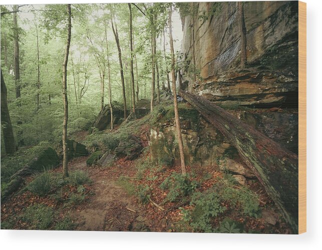 Trail Wood Print featuring the photograph Phantom Canyon Trail by Grant Twiss