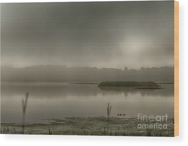  Wood Print featuring the photograph Phantom Lake by Natural Focal Point Photography