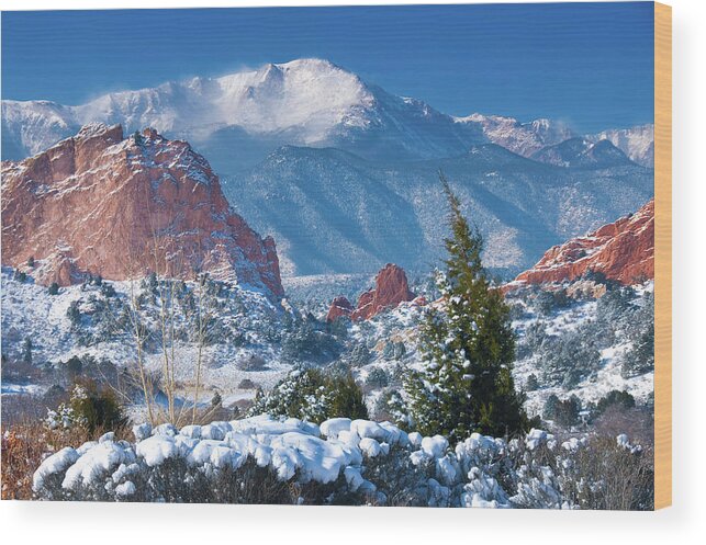 Colorado Wood Print featuring the photograph Pikes Peak in Winter by John Hoffman