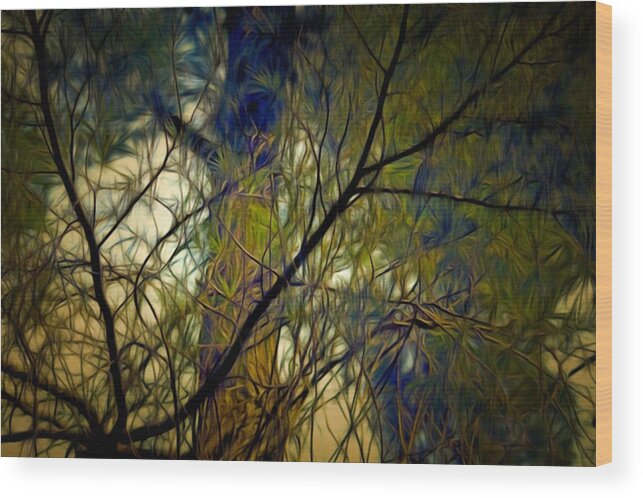 Branches Wood Print featuring the mixed media Piney Branches by Christopher Reed