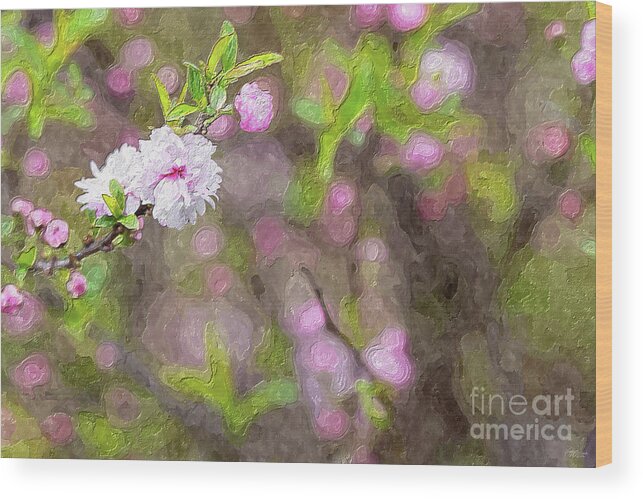 Pink Flowering Almond Wood Print featuring the mixed media Pink Flowering Almond Blossom Painterly by Jennifer White