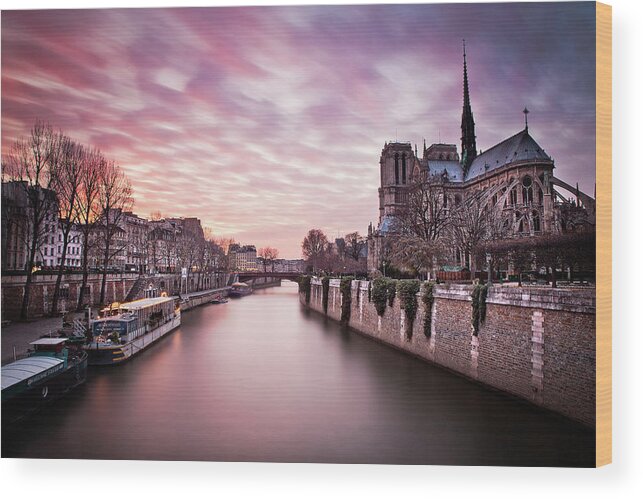 Ile De La Cite Wood Print featuring the photograph Pink Sunset of Notre Dame by Serge Ramelli