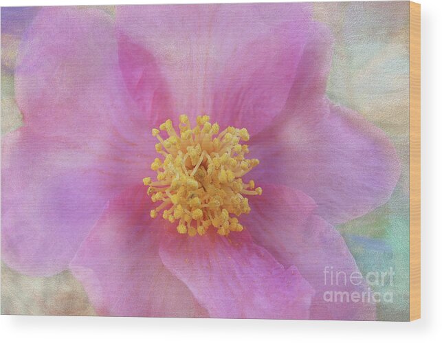 Pink Wood Print featuring the digital art Pink Textures by Amy Dundon