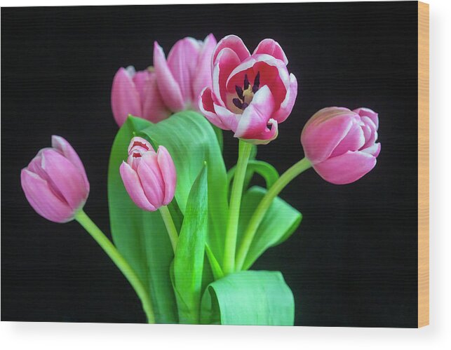 Tulips Wood Print featuring the photograph Pink Tulips Pink Impression X102 by Rich Franco