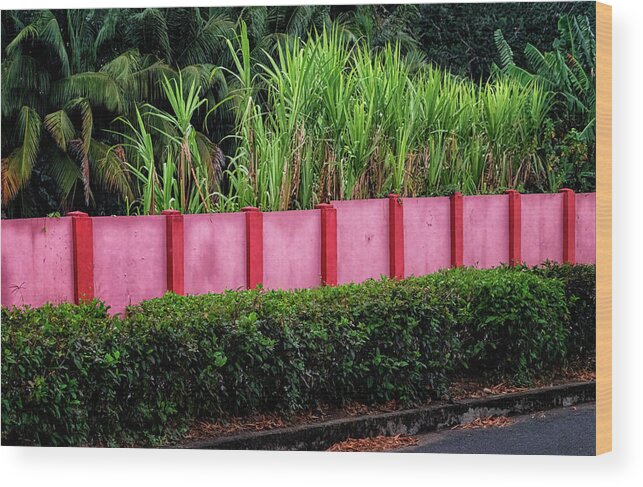 Havana Cuba Wood Print featuring the photograph Pink Wall by Tom Singleton