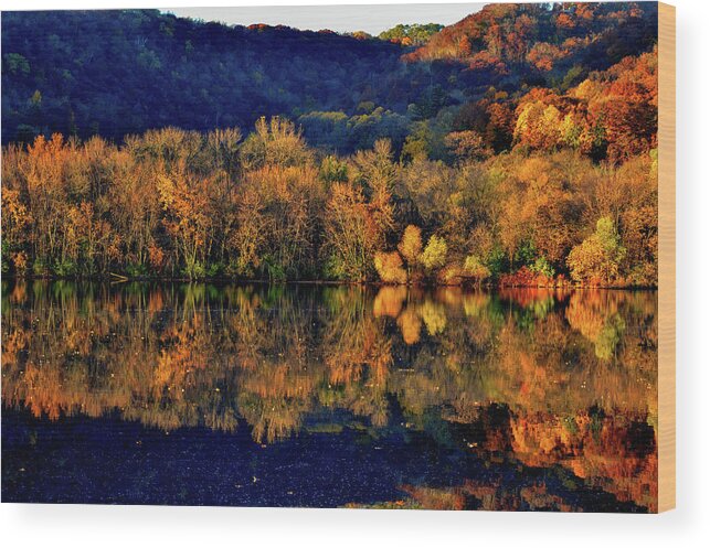 Fall Wood Print featuring the photograph Pinwheel by Susie Loechler