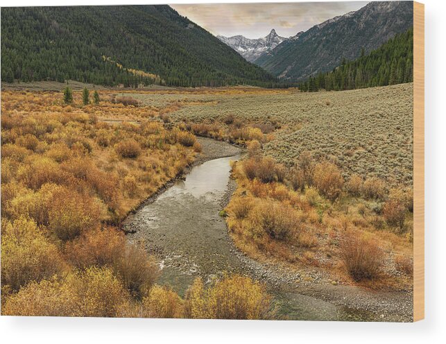 Nature Wood Print featuring the photograph Pioneer Mountains Idaho Autumn by Leland D Howard
