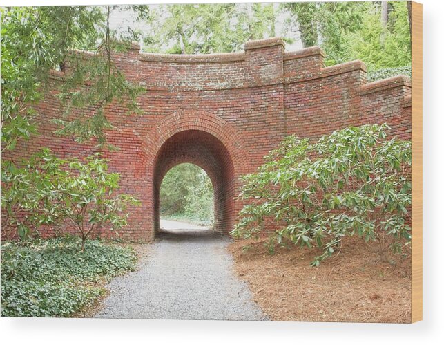 Arch Wood Print featuring the photograph Places To Go by Allen Nice-Webb