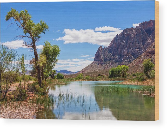 Pond Reflections Wood Print featuring the photograph Pond reflections in Mohave Desert, Nevada by Tatiana Travelways