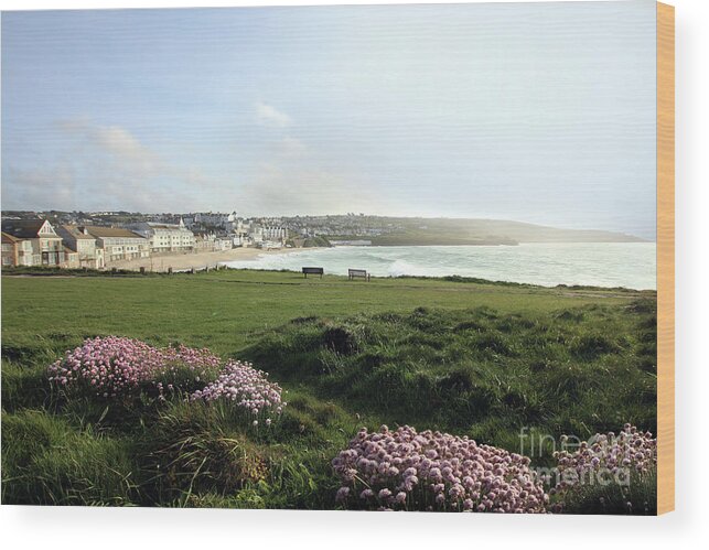 Porthmeor Wood Print featuring the photograph Porthmeor Thrift by Terri Waters