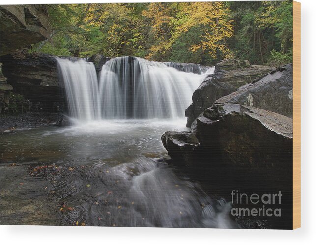 Waterfall Wood Print featuring the photograph Potter's Falls 14 by Phil Perkins