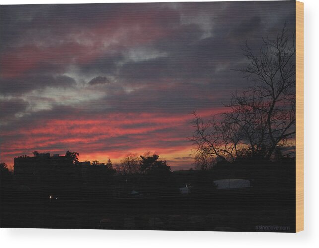 Morning Wood Print featuring the photograph Predawn Sky with Amazing Array of Colors February 20 2021 by Miriam A Kilmer