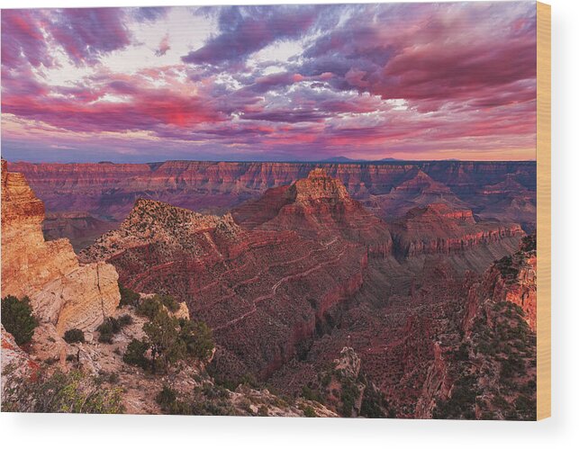 Arizona Wood Print featuring the photograph Pretty in Pink by Rick Furmanek