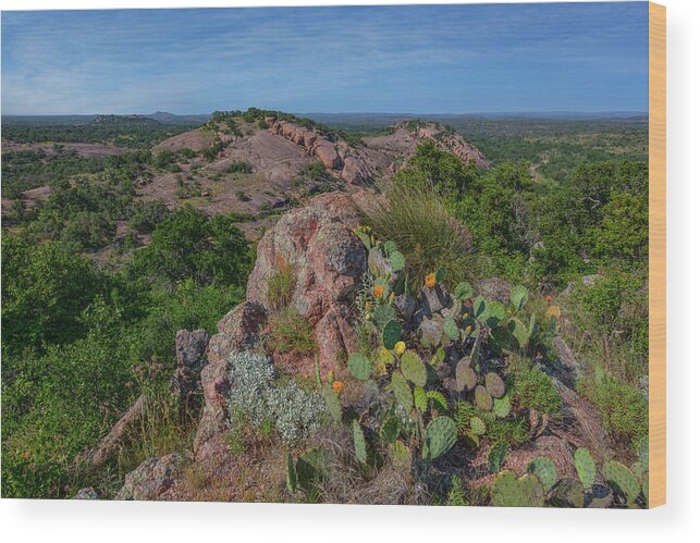 Turkey Peak Wood Print featuring the photograph Prickly Pear Blooms at Enchanted Rock 2 by Rob Greebon