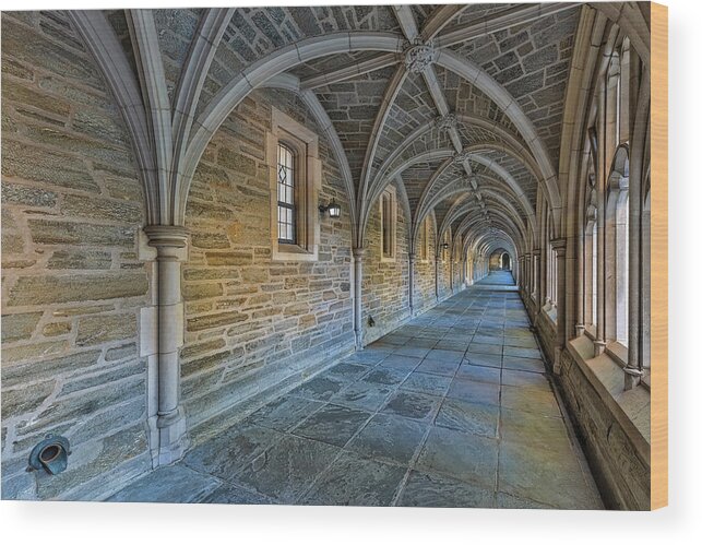 Princeton University Wood Print featuring the photograph Princeton Rockefeller College NJ by Susan Candelario