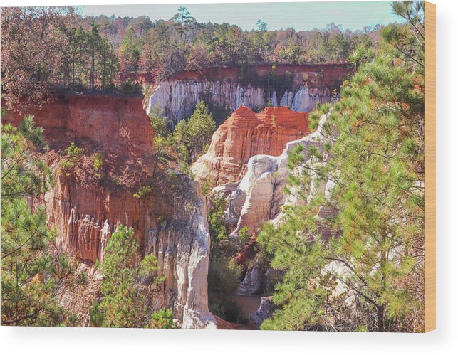 Providence Canyon State Park Wood Print featuring the photograph Providence Canyon Across by Ed Williams