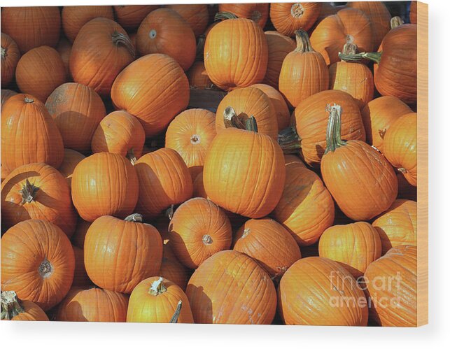 Pumpkin Wood Print featuring the photograph Pumpkins by Vivian Krug Cotton