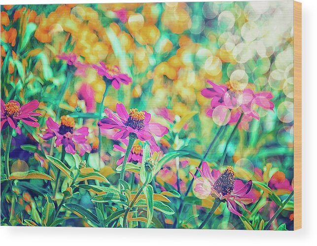 Background Wood Print featuring the photograph Purple Echinacea by Manjik Pictures
