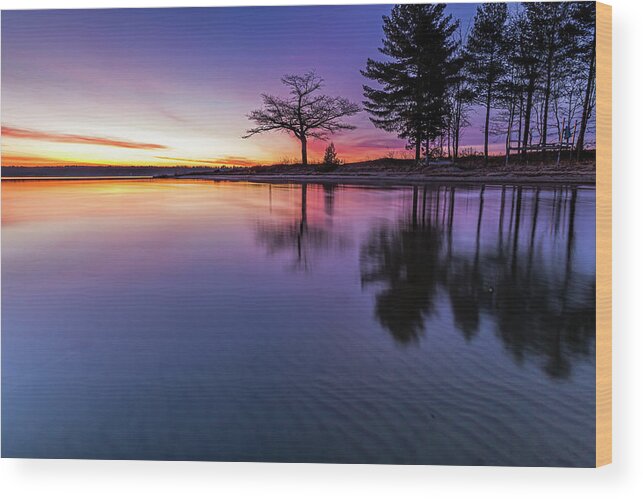 Sand Ripples Wood Print featuring the photograph Purple Ripples by Joe Holley