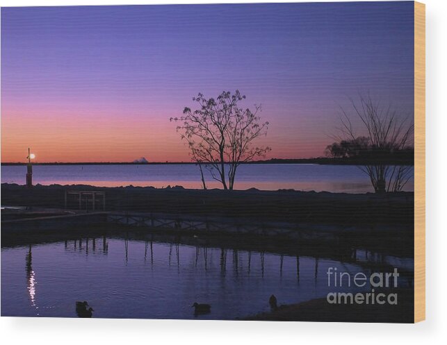 Sunrise Wood Print featuring the photograph Purple Sunrise by Diana Mary Sharpton