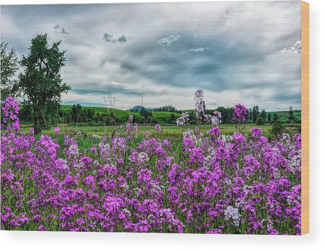 Landscape Wood Print featuring the photograph Purple With A Mood by Pamela Dunn-Parrish