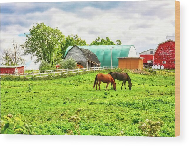 Farm Wood Print featuring the photograph Quebec farm by Tatiana Travelways