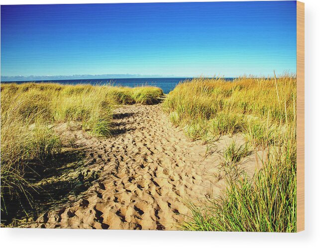 Cape Cod Wood Print featuring the photograph Race Point Beach by Greg Fortier