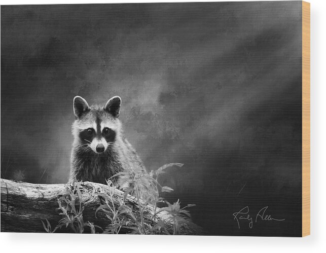 Raccoon Wood Print featuring the photograph Raccoon Posing by Randall Allen
