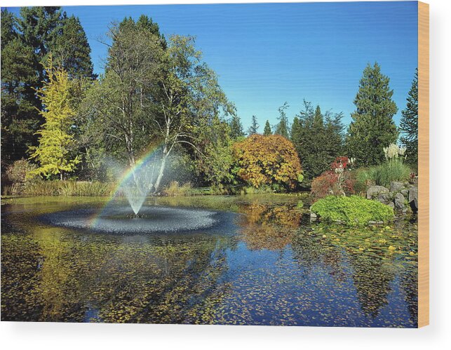 Alex Lyubar Wood Print featuring the photograph Rainbow in the fountain by Alex Lyubar