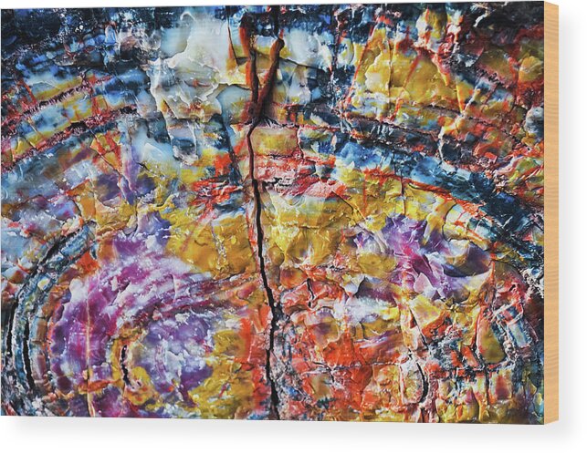 Petrified Forest National Park Wood Print featuring the photograph Rainbow Petrified Wood Long Logs Trail by Kyle Hanson