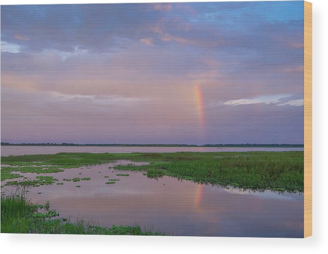 Rainbow Wood Print featuring the photograph Rainbow Reflection over Lake Toho by Carolyn Hutchins